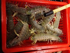 -79号渔船海鲜饭店(华强北店)