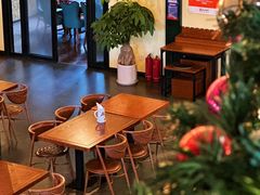 -普兰达德国餐厅·德式脆皮烤猪肘·自酿啤酒(观唐店)