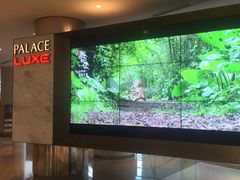 -百丽宫影城(嘉里汇店)