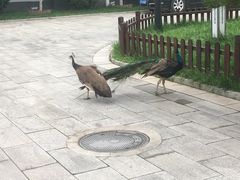 -东方时尚驾校摩托车考试场(东方时尚驾校西区店)