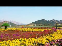 -西海岸生态观光园