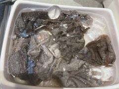 捞派毛肚（半）-海底捞火锅(让胡路万达店)