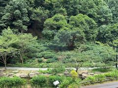 -杭州上天竺法喜讲寺