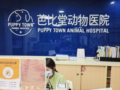 -芭比堂宠物医院·全科爱猫医院·仁德分院