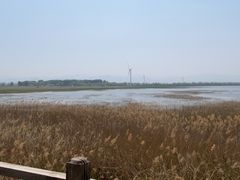 -野鸭湖国家湿地公园