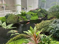 -罗红摄影艺术馆