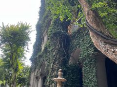 -杭州新新饭店·1913餐厅