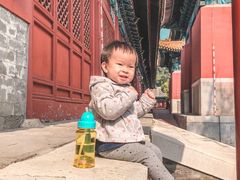 -北京国子监胡同