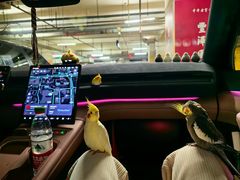 -蔚来体验中心(北京亦庄店)