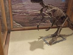 -国家自然博物馆