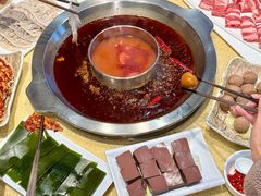 -田鸭肠·非遗火锅(彭州店)