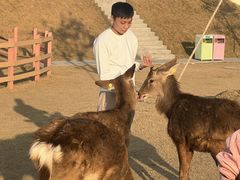 -盈香心动乐园