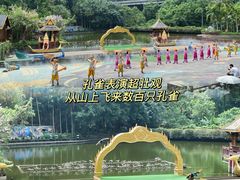 -西双版纳原始森林公园