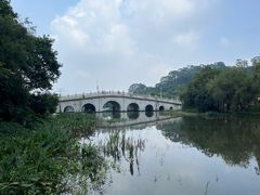 -水濂山森林公园