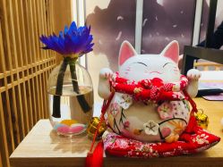 -一本X目奈子日式单根美睫专业店