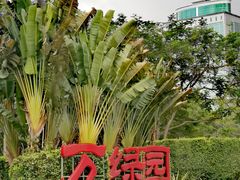 -万绿园