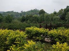-五凤溪古镇
