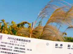 -上海国际音乐村