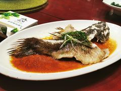 清蒸海石斑-森谷美食公园(杨行店)