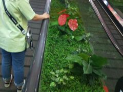 -满客隆仓储超市(铁北店)