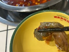 -晓彭肥肠鸡·泡椒鸡火锅(水木天地店)
