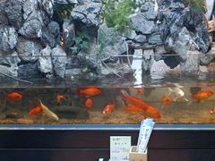 -舟小鲜·舟山小渔村(凤城四路中登广场店)