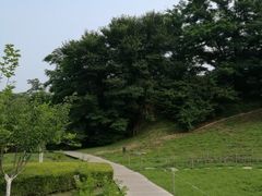 -棒棰岛宾馆景区
