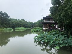 -杭州西子湖四季酒店-WL BISTRO西湖餐厅(灵隐路店)