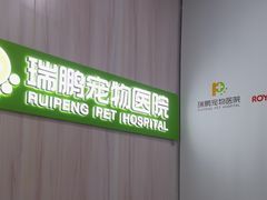 -瑞鹏宠物医院·微创内窥镜·骨外科·牙科(翠竹分院)
