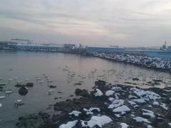 -烟墩角天鹅湖