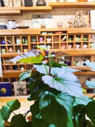 -今日陶艺(富力广场店)