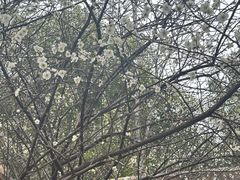 -艾山风景名胜区