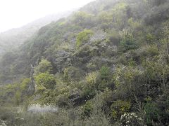 景点-少华山国家森林公园