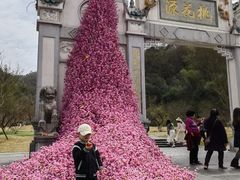 -常德桃花源景区