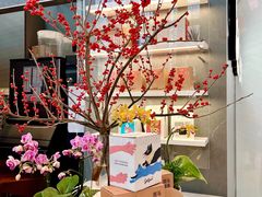 -Seesaw Coffee(深圳万象天地店)