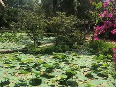 -Mekong Rest Stop