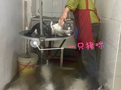 -幸福宠物店(德胜门内大街店)