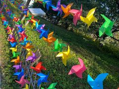 -北京西山国家森林公园