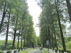-东湖生态旅游风景区
