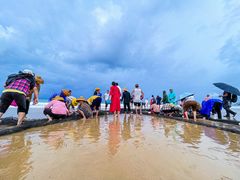 -三亚海棠湾万丽度假酒店