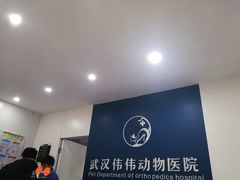 -伟伟宠物医院·CT影像中心·瑞派犬猫综合性门诊(汉口总院)