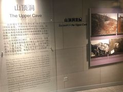 -北京周口店北京人遗址博物馆