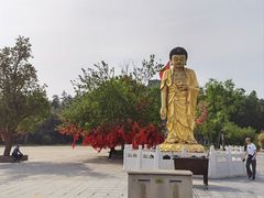 -冶父山国家森林公园