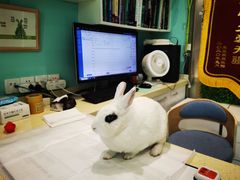 -雨林宠物医院 非犬猫异宠专科