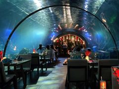 -涛·海底餐厅·美人鱼·自助餐·海底隧道(三亚海棠湾洲际度假酒店)