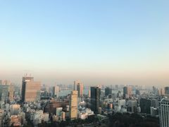 -东京塔海贼王主题公园