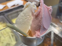 -陕拾叁-西安糕点(北院门创始店)