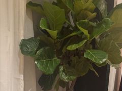 -懒人盐府人家·自贡大麻鱼(安贞店)