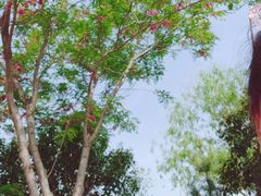 -终南山国家森林公园