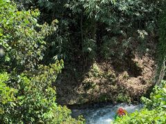 -清泉湾生态旅游度假区